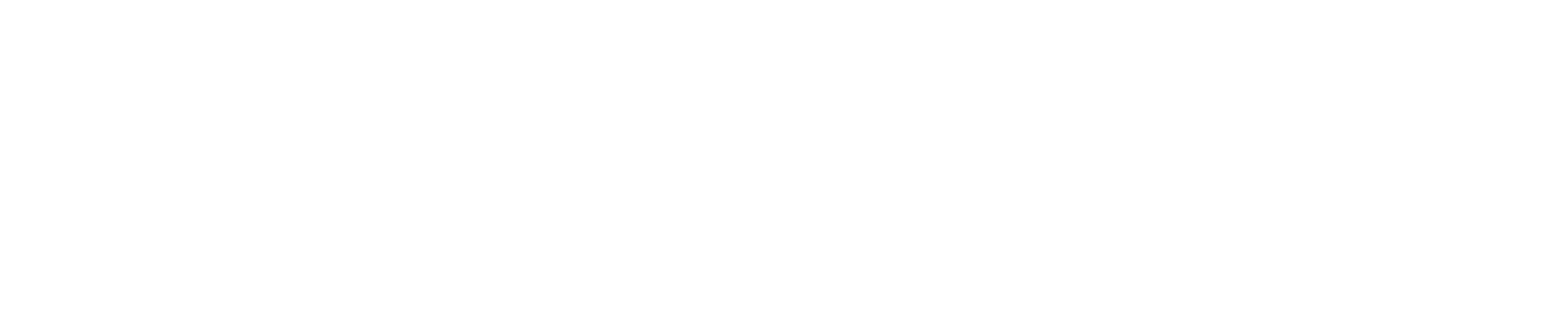 blok-z_logo_white